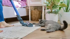 5 vinkkiä, jotka auttavat pitämään kodin siistinä ilman suurta vaivannäköä