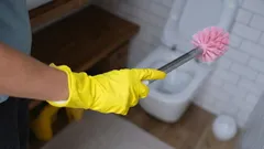 Kuinka usein WC-harja pitäisi vaihtaa? Asiantuntijoiden mielipiteet jakautuvat