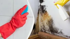 Musta home katoaa silmissä: kikka, josta siivoojat vaikenevat