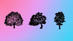 Psykologinen testi, joka paljastaa, mitä itsessäsi kannattaa muuttaa: valitse yksi puista