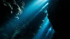 Yhdysvaltain laivasto havaitsi merellä oudon äänen: tutkijat arvelivat, mikä sen saattoi aiheuttaa