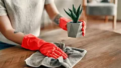 Siksi japanilaisissa kodeissa ei koskaan ole pölyä – siivousmenetelmä on yllättävän yksinkertainen