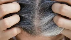 Harmaat hiukset ja nuorekkuus: värjäystekniikat, jotka häivyttävät ikämerkkejä
