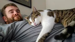 Kissat nukkuvat omistajiensa päällä muustakin syystä kuin rakkaudesta: todellinen syy voi yllättää
