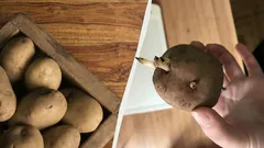 Perunat eivät idä eivätkä kuihdu kuuteen kuukauteen – näin säilytät ne oikein