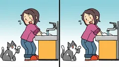 Päätehtävä: löydä 3 eroa kuvasta, jossa on nainen ja kissa, 19 sekunnissa