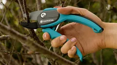 Ongelmaton puutarha: miten valita oikeat oksasakset puutarhaan?