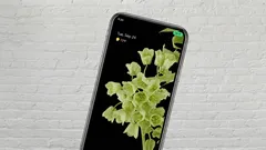 Puhelimen näytöllä syttyi yhtäkkiä vihreä piste: kannattaako huolestua?