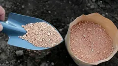 Puutarhurien vinkit: tämä luonnollinen jauhe karkottaa tuholaiset ja tekee maasta ihanteellisen